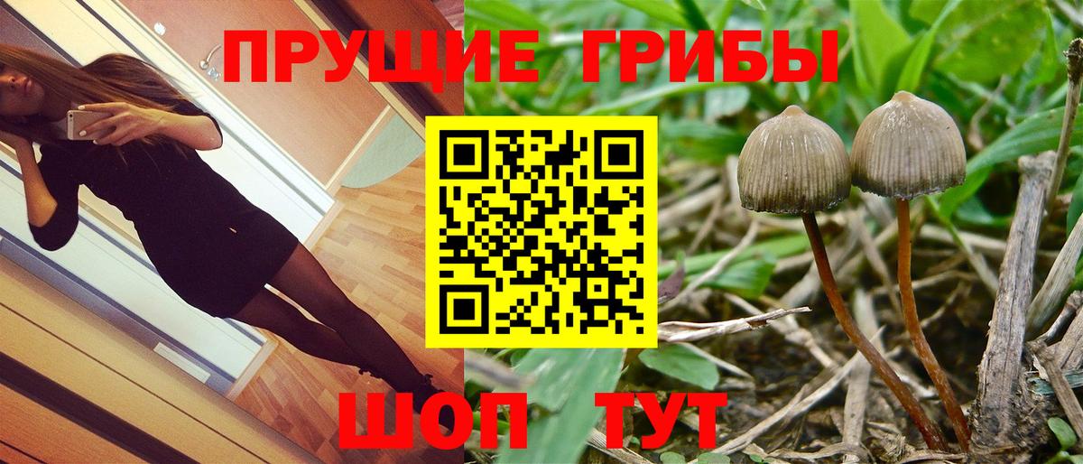 закладки  Галлюциногенные грибы Psilocybe  Вход с VPN  Мытищи  Псилоцибиновые грибы мицелий 